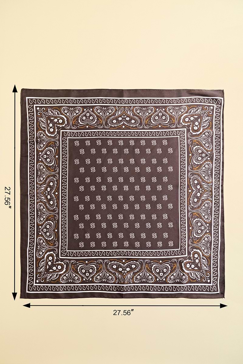 All Access Paisley Scarf