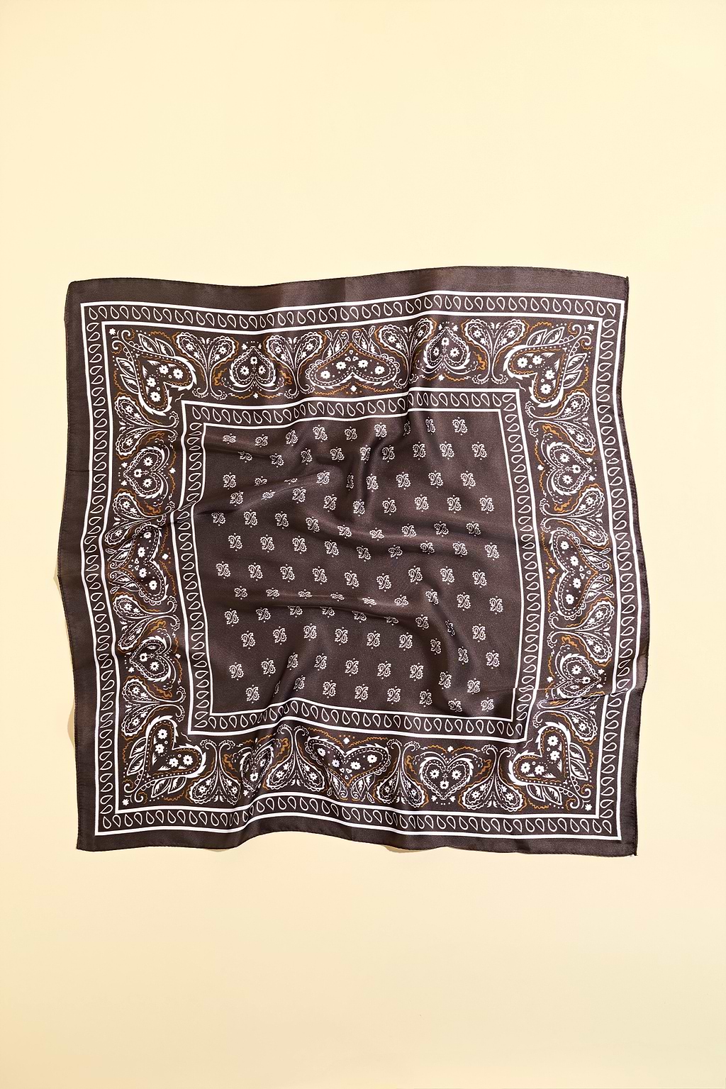 All Access Paisley Scarf