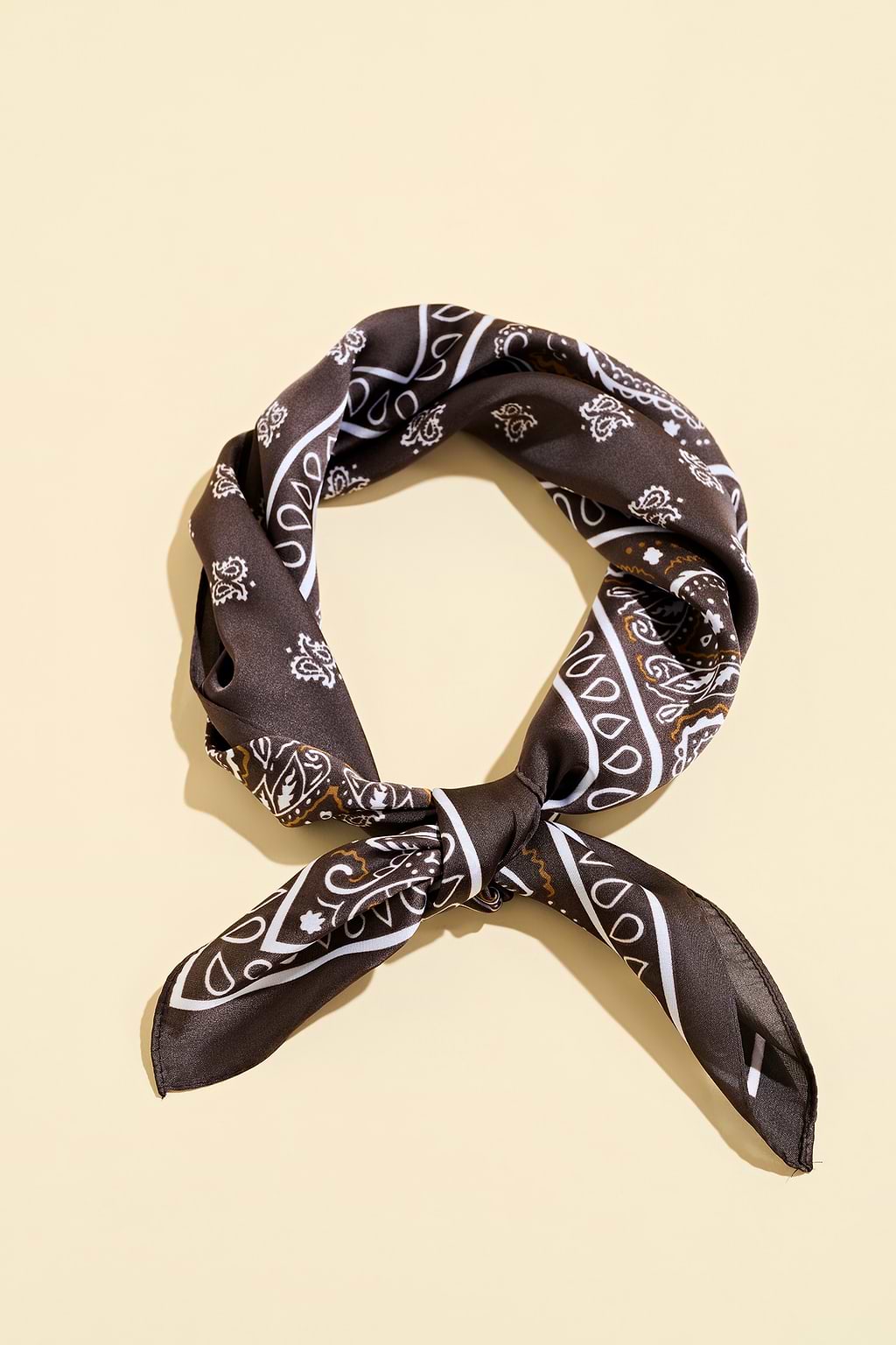 All Access Paisley Scarf