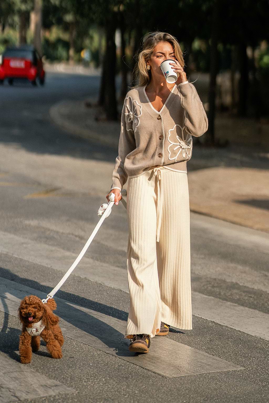 Evening Stillness Beige Pants