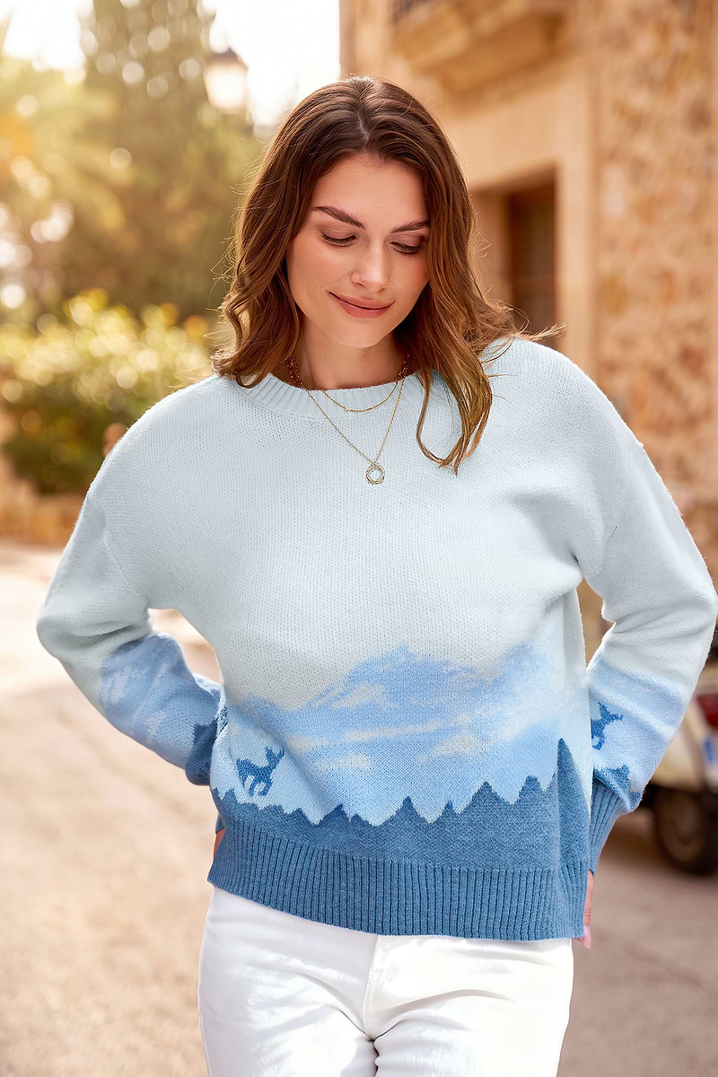 Blau-Weißer Rundhals Winterpullover