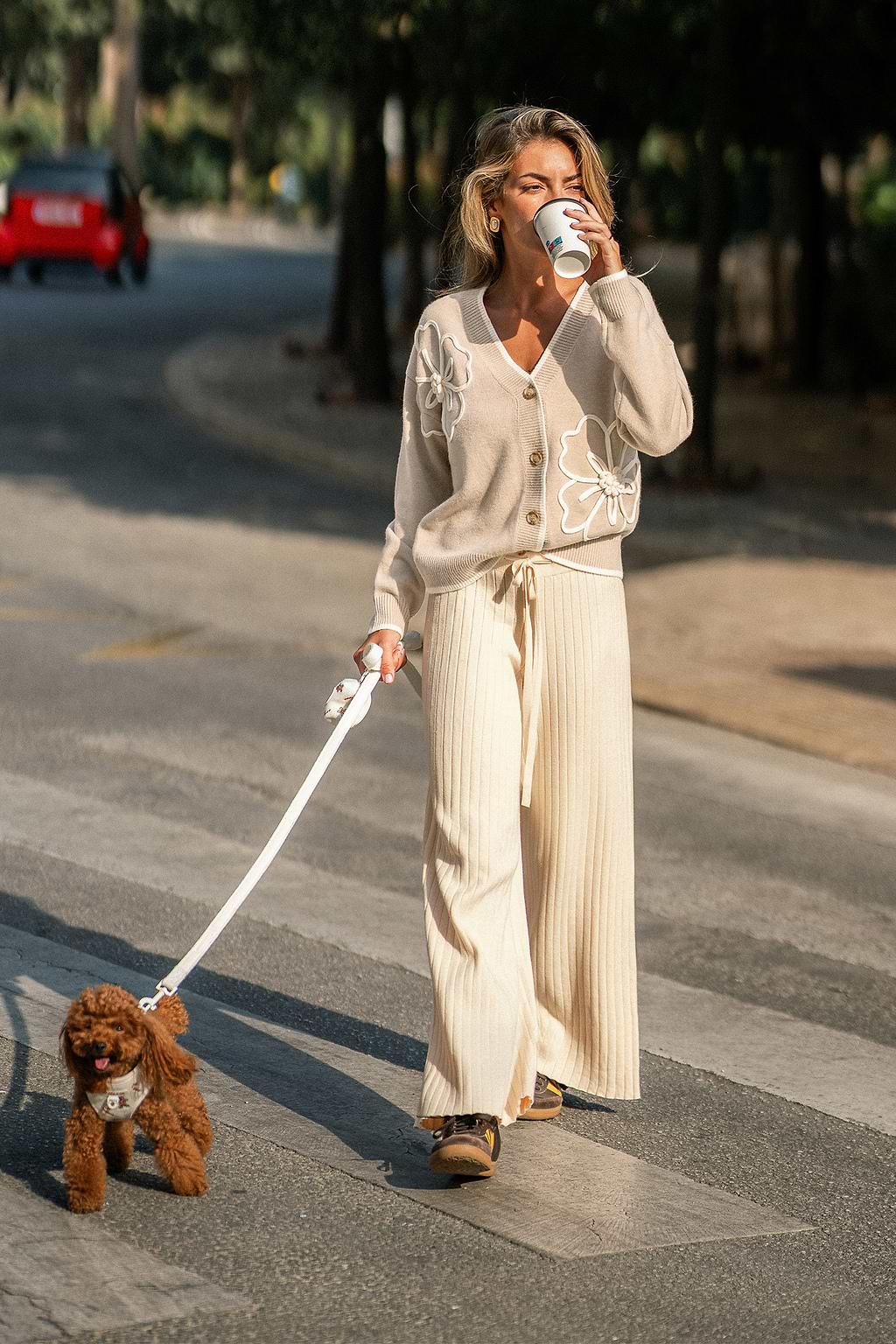 Evening Stillness Beige Trousers