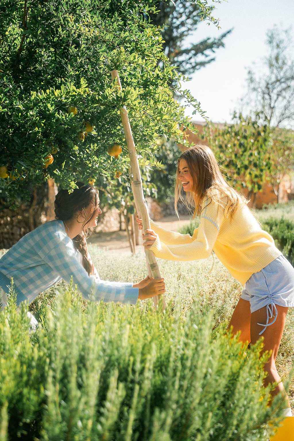 Sunflower Field Yellow Sweater