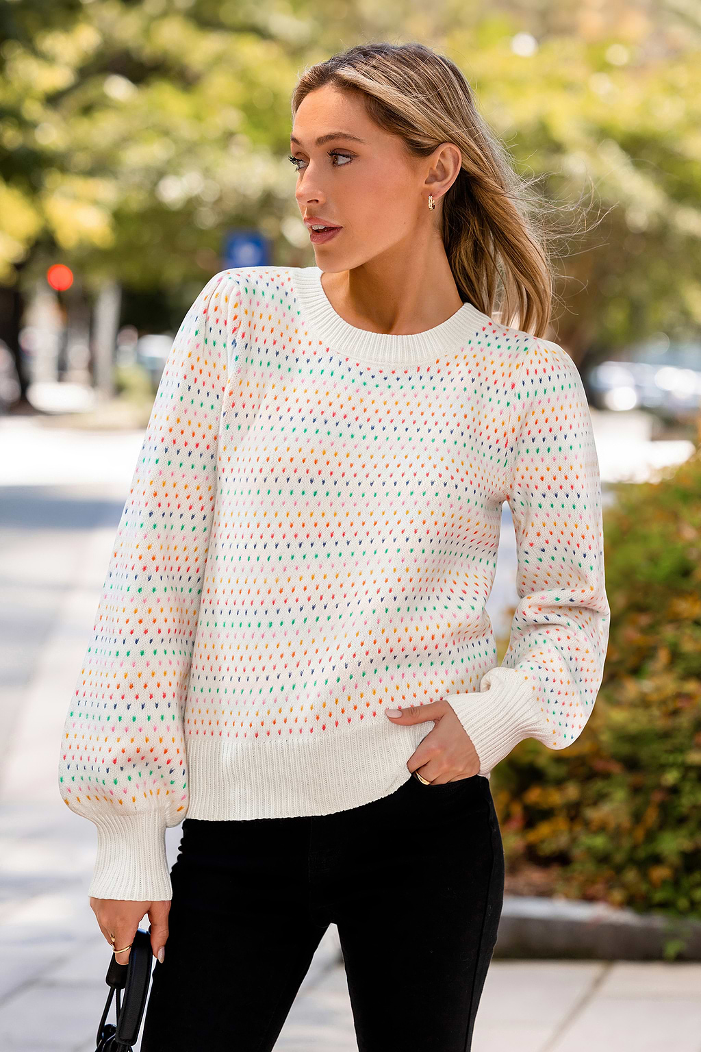 Mehrfarbiger Rundhals Langarmpullover